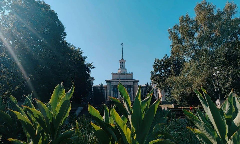 �������� - 228 ���: ������ ��������� ��� ������ � 2023