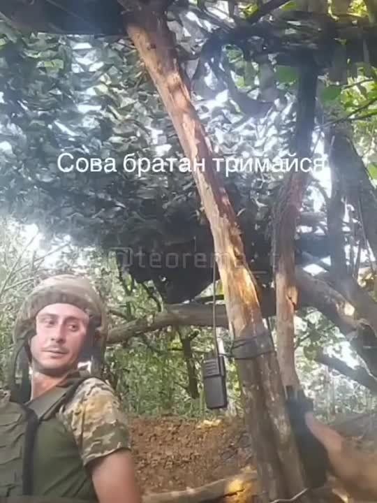 ������� ������ ������ ��������� ���� � ���� ����