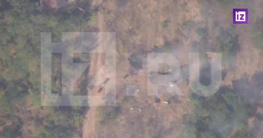 ���������� ���������� ���������� "���������" ������ ���