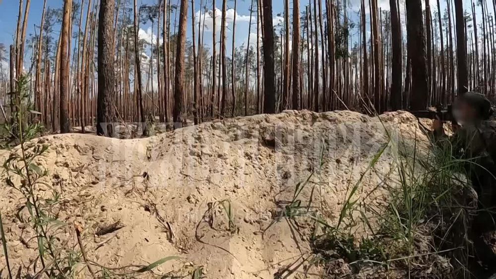 ������ ����� ����������� ���� ������ ���, �������� � ��������������