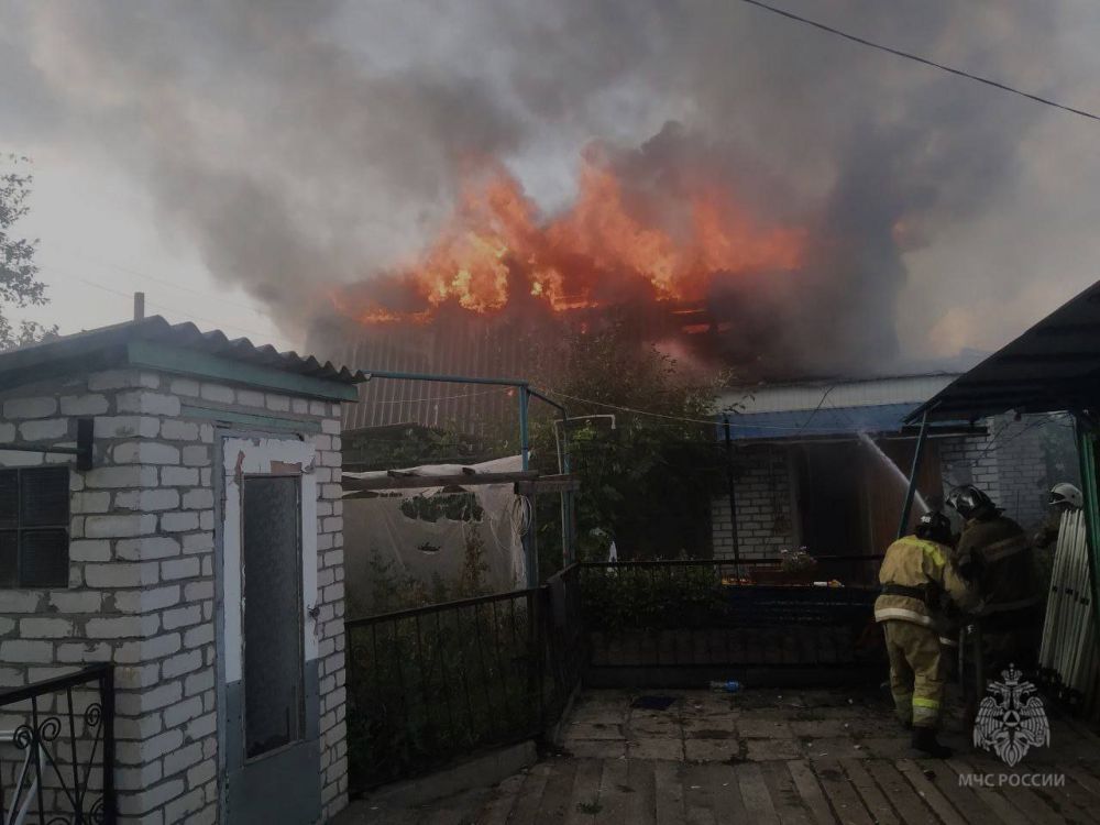 ����������� �������� ������ � ��� 29 ������� 2023: ������������ 10 �������, ����� ���� �� ����������� �� �������� ��������