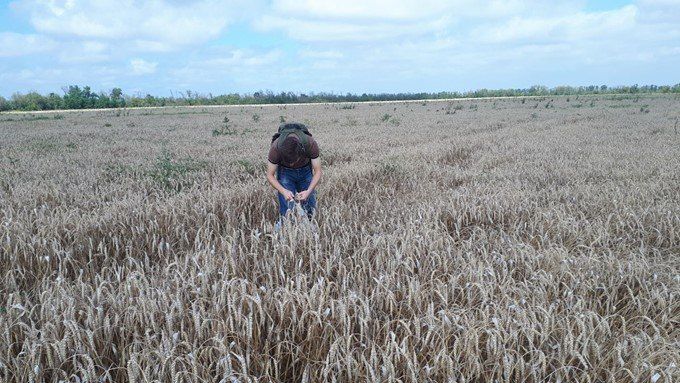 � ��������� �������� ���������� ����������� ���������� ����������������� ���������� � ���������� ���������� � ������� ����������� ��������� � ����������� � ��������������