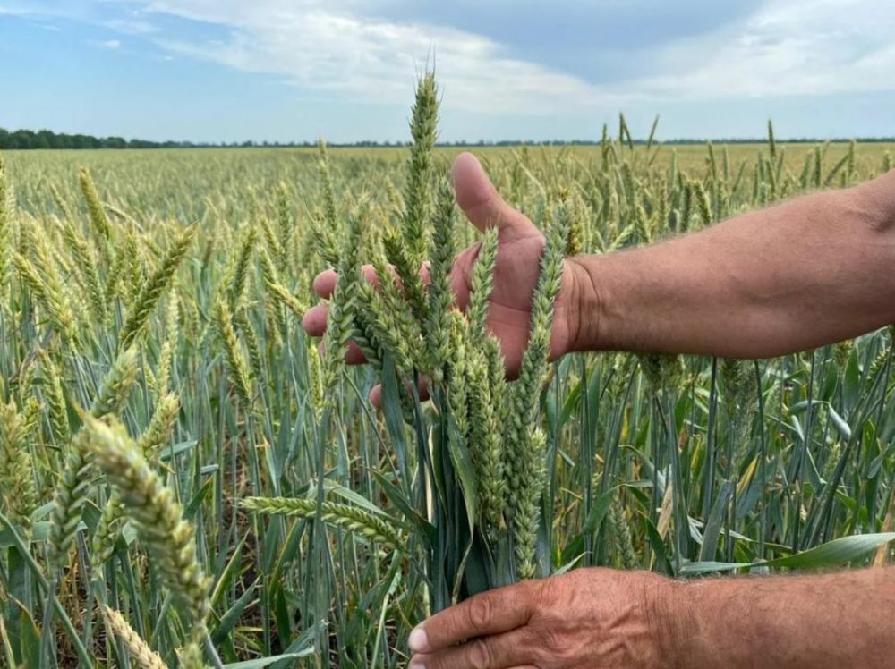 ��������������� �� ������� ������� ������� 5 ���� ����� ������ ������� ���������� ���������������� ��������� ������������ ����� �������� ����������, �������� ���� � �����-������ ����, �������� ������� ������ �� ������� �������� �������