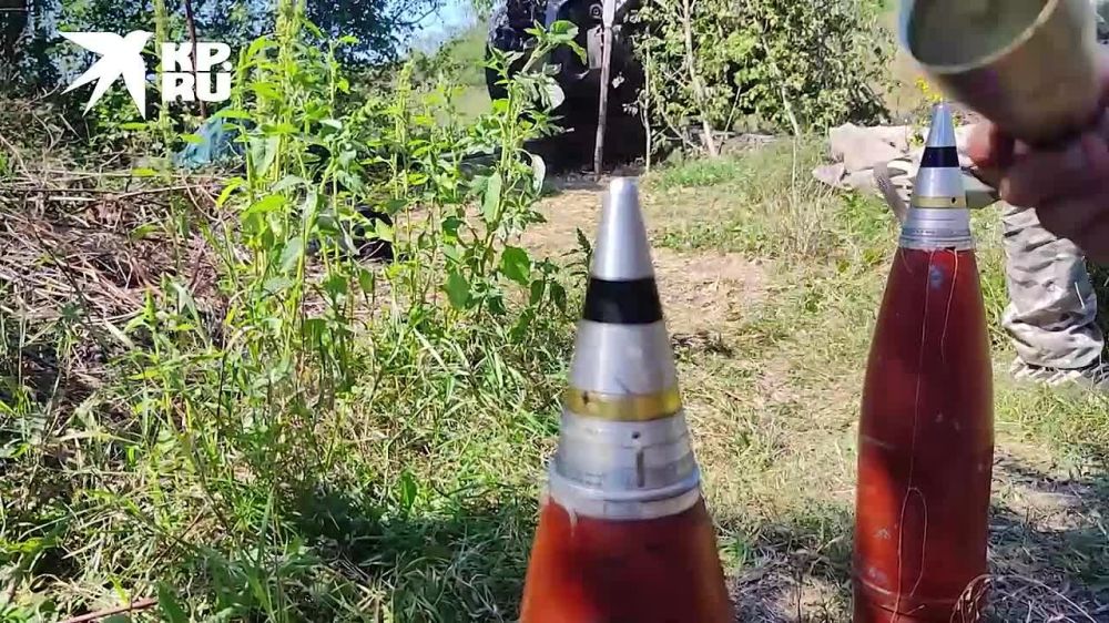 ������������ 7 ������� ����� ����������� ����� ���������� ��������� ������� � ������������� ���������