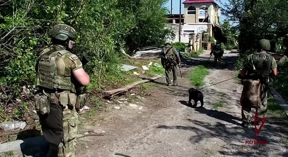 �������������� ���������� �������� ���������� �������� ������ �� ���������� ������� � ����������, �������� ��������� � Telegram-������