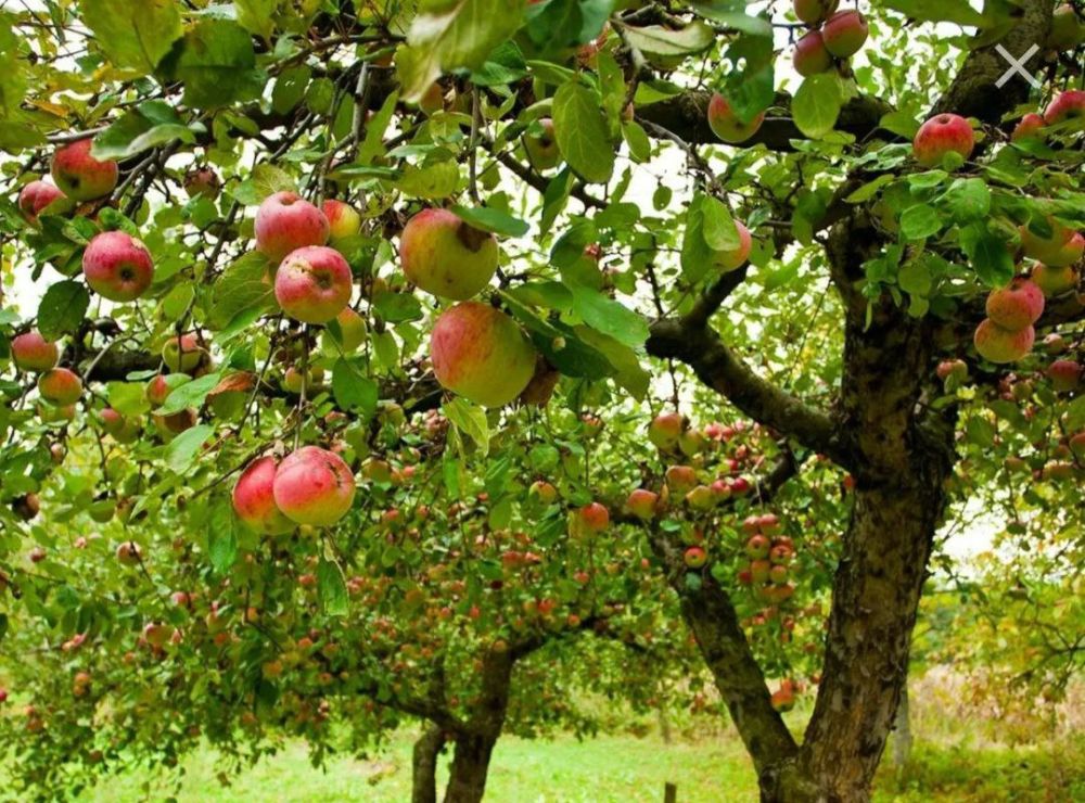 ���� �� ���������� � ������ �������������� �������� ����� ������������ ��������� � ������ ��������� ������ ��������� �...