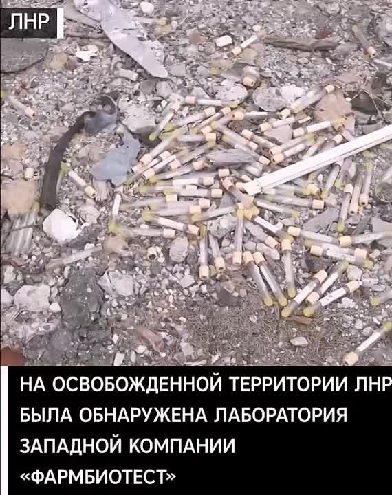 �������� ����������� ������� ����� �� �������������� ���