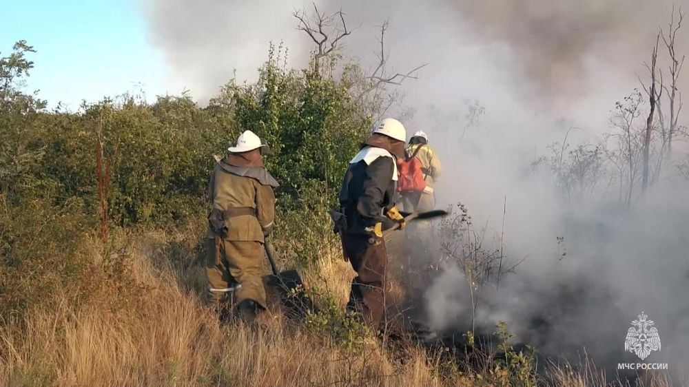 �� �������� ����� �� ���������� ��� ������������ 41 �����