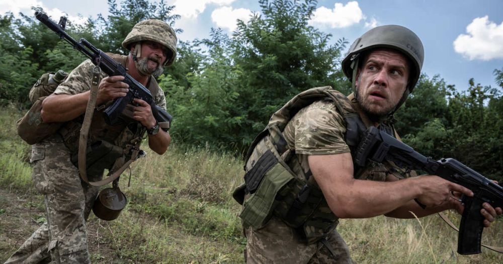 ������ �������� ����� �������� ��� ���������� ������ "�����������"