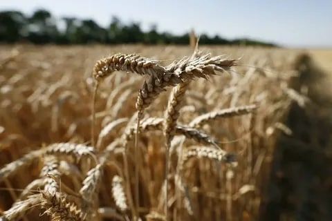 ����� ������� ������ ������, ���������� � ����� ��������� �������� ����������, �������� �������� � ����� �������������� ��...