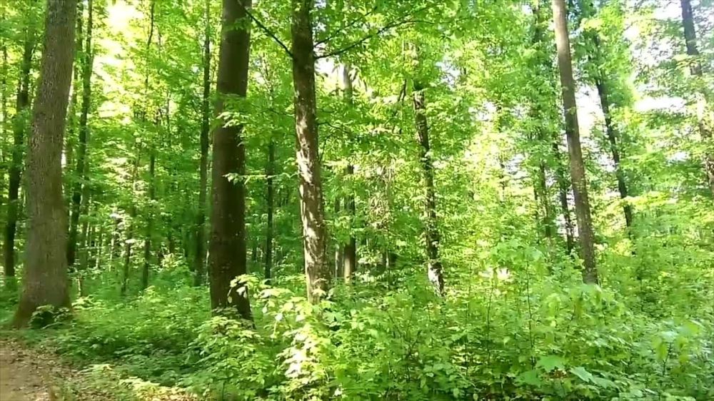 � 2023 ���� � ������ ����������� ������������ ��������������� ��������� ��������� �������� ���������� ����������� ����� 12 ����� ��������