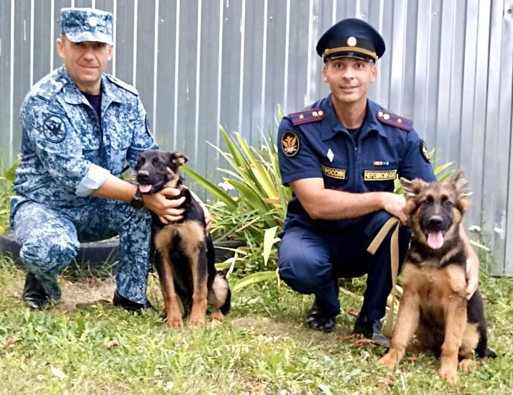 ����� ������ �� ���������� ��������� ���������� ������������� ���������� ����������� ������ ���������� ��������� �� ����������� ������� ��������� � ����� �� ���. �� ���� �������� � ������������ ���������� � �������� ������������ ����������� �������