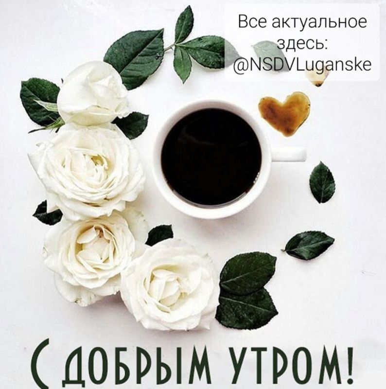 ������ ����, �������!. � ������ ���� ���� � �������� ��������� ��������, ������� ����������� �� ����� ���. �� ���������� ��������� �������� ���������� ���������� ����������. ��� �������