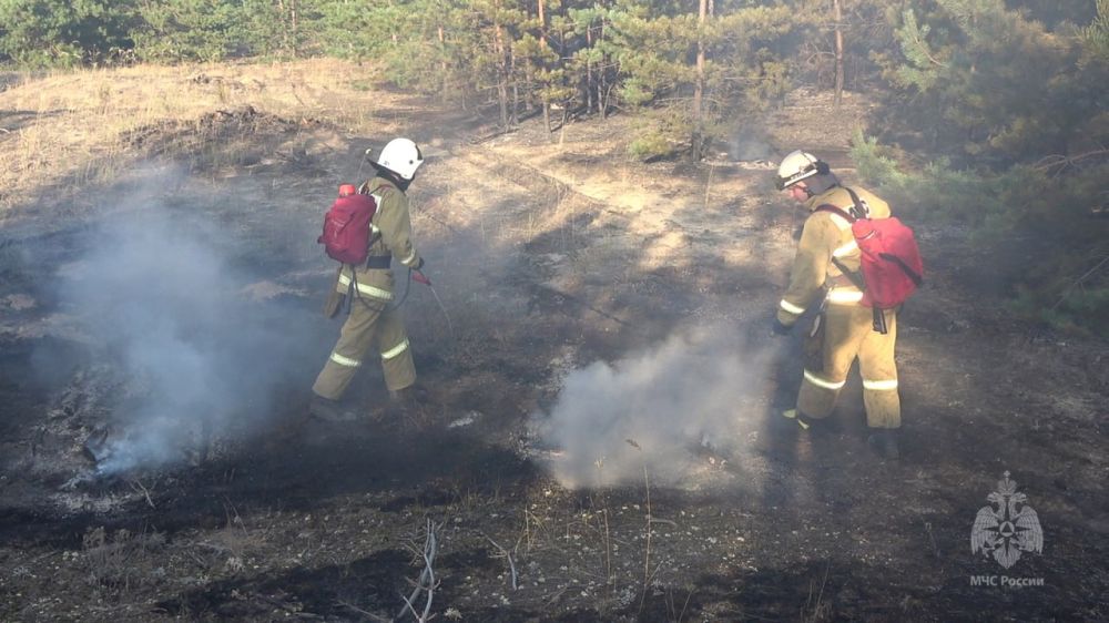 �� ���� ���������� ��-�� ������������� ��������� ������� � ����� ���������� ������ ����� �����