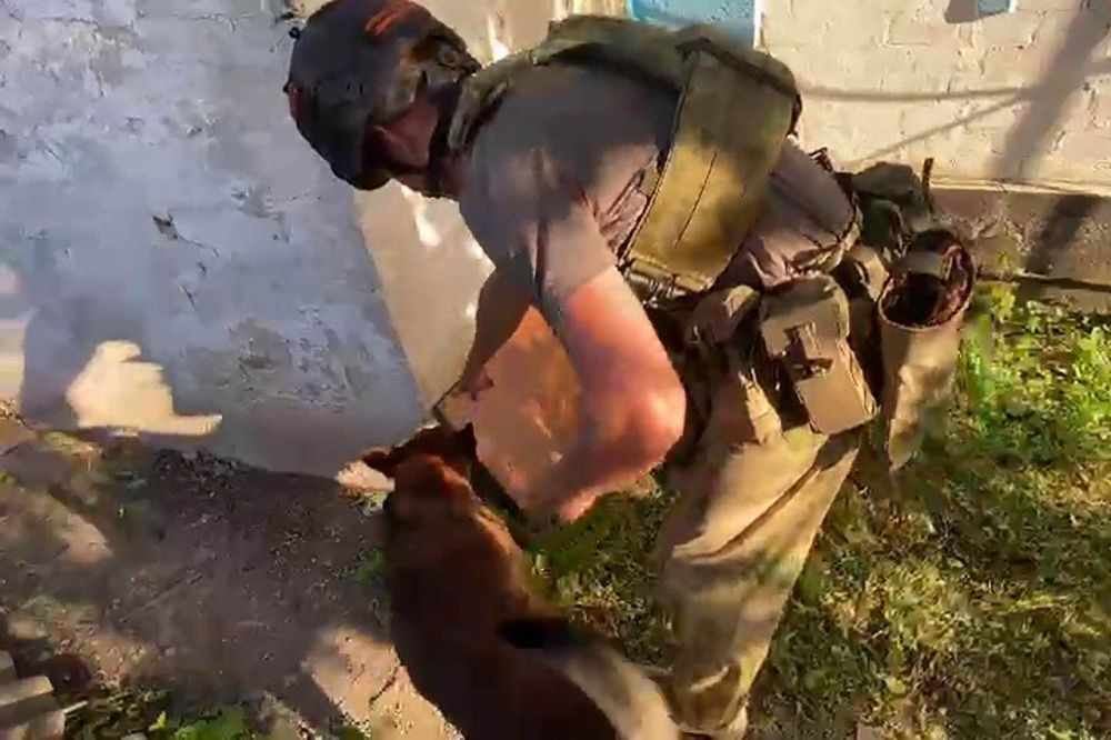 ������������ ��������� �������������������� ������������ ��������������� ���������� � ��� � ���