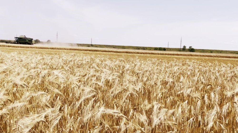 � ����� �������� ��������� ������ ������ �������� �������, �������� � ����������� ������