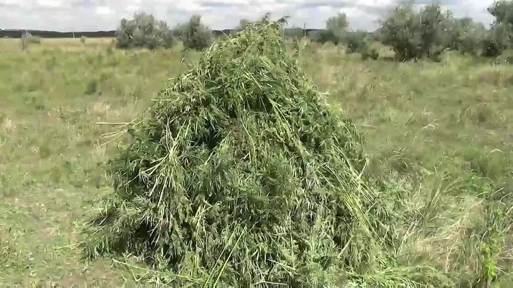 12345���������� ������� ���������� � �������� ������� 600 ������ ������������ ������� � ���������