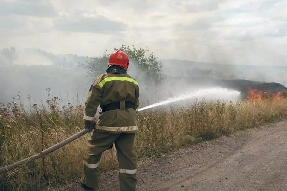 � ��� 2 � 3 �������� �������� 54 �� ����� �����