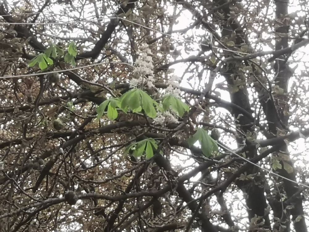 � �������� ����� ������ �������