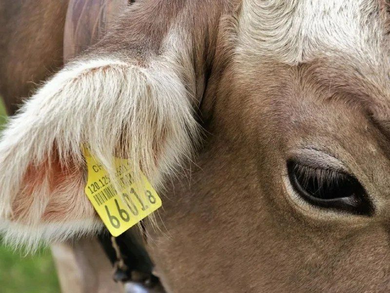 ���������������� �������� ������������ � ����������� � ������ �����