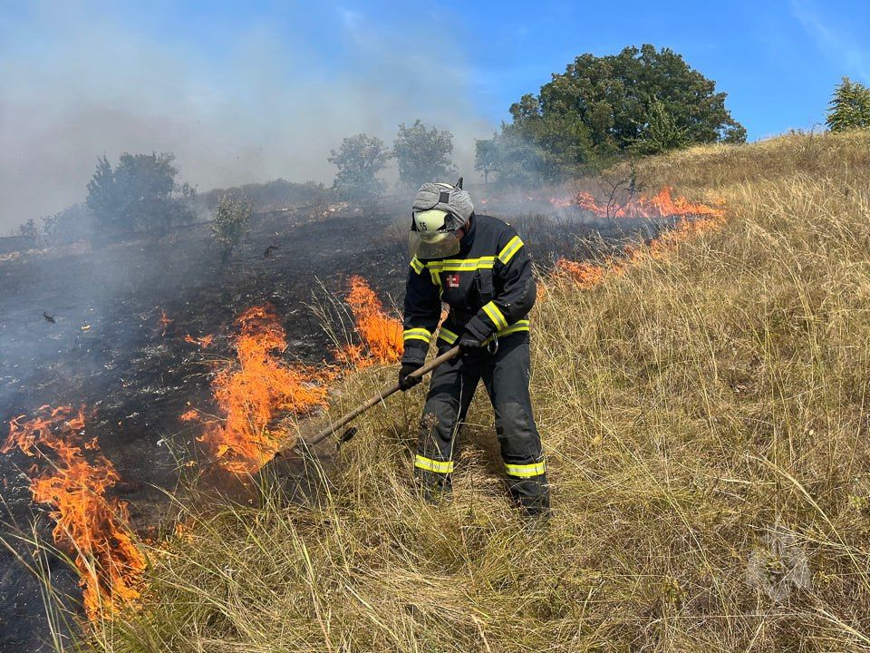 ���������� ��������� ������������� ����������� ���������� � ���� ���������