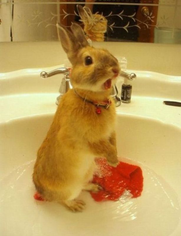 ����������� ����������� � ��������� ����������� ������������� � ��������� ����� �������� 6 � 7 �������� � ����� � ��������