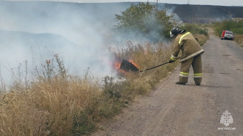 6 �������� � ��� ��������� �� +29�