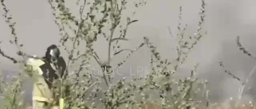 ������ ����� � ������� � ������ ������ � ��������