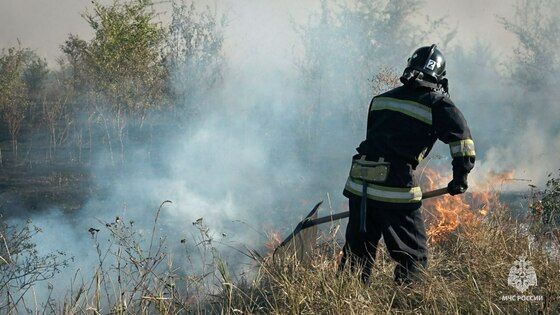 ��������� ��������� ������������� ������� ����������� ����� � �������