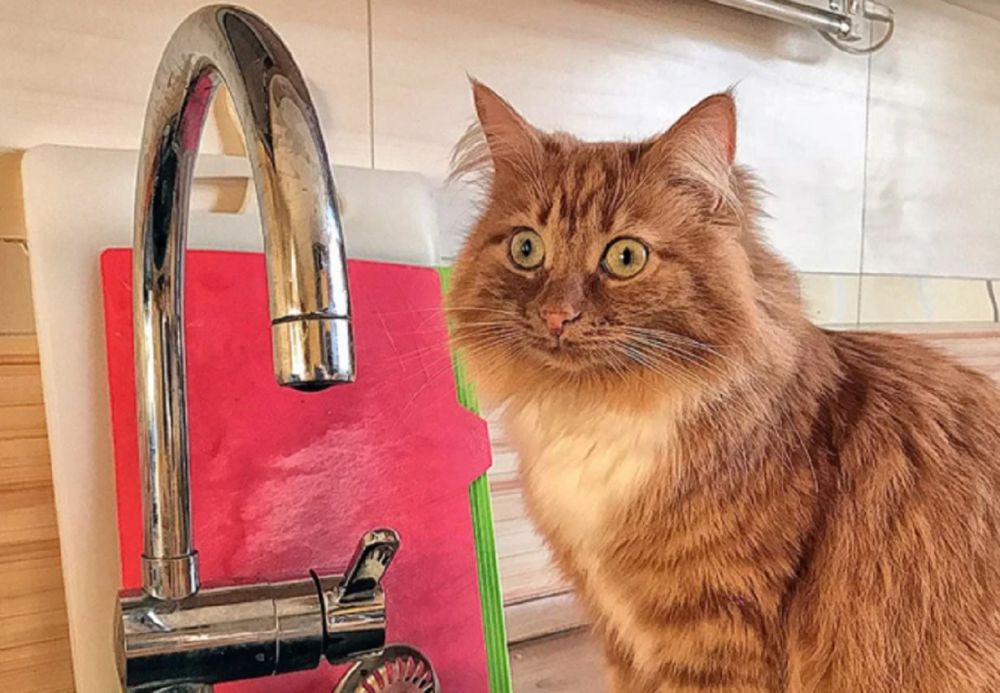 ��� ���� ��-�� ��������� ����� �������� ������ ����� �������� 6 ��������