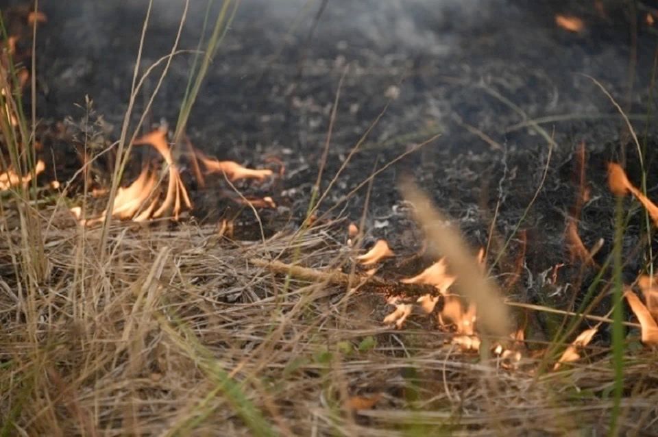 ������������ ��������������� ��������� � ���. � ��������, ������-��������� � ����������� ������� ��� �������� ����� ����� �������� ���������, ������� ��������� �� ����� ����� 7 �������� � � ������� ����� 8 ��������