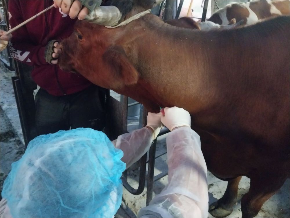 ��� ������ ������ ����, ����������� � ������ ���������� ������������������� ����������� �� ���������� ��������� �������� ����������