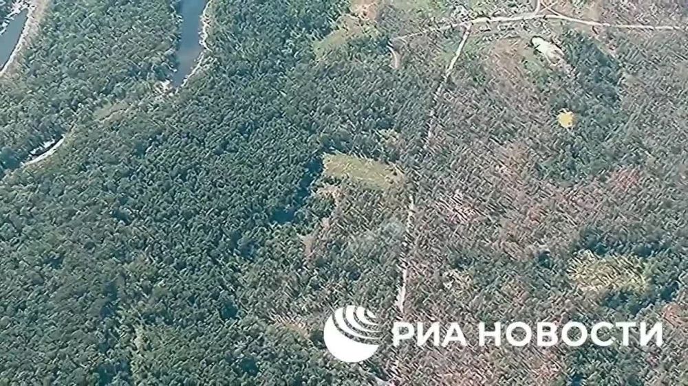 ���� ����� - ������������ "��������" ���������� ����� �� ��������������� �����������