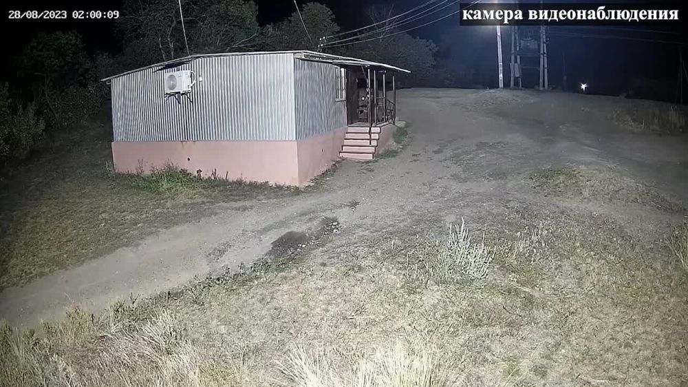 � ��������� �������� ���������� ����������� �������� ������ ����� �� �������� � �. ���������