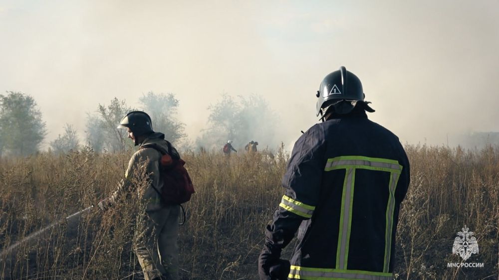 �� �������� ����� �������� �������� �� ������� ���������� � ���������� 39 ���