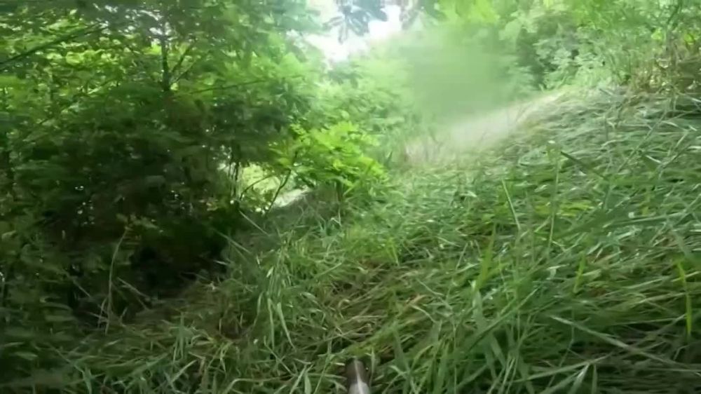 ���� �� ������ ����� ����� ����!