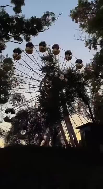 � 228-� ���� ��������, �������!