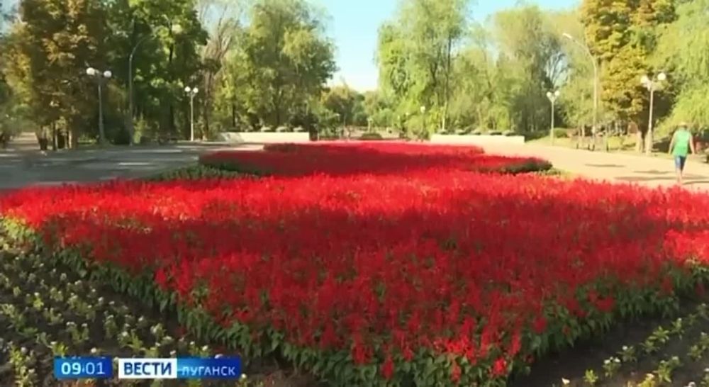 Родион Мирошник: Сегодня впервые вышел в эфир Луганский филиал ВГТРК