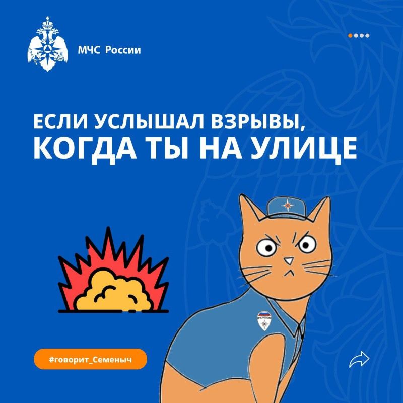 ��� ������ �����������. #������� #�������_�������� #���_������ #������������