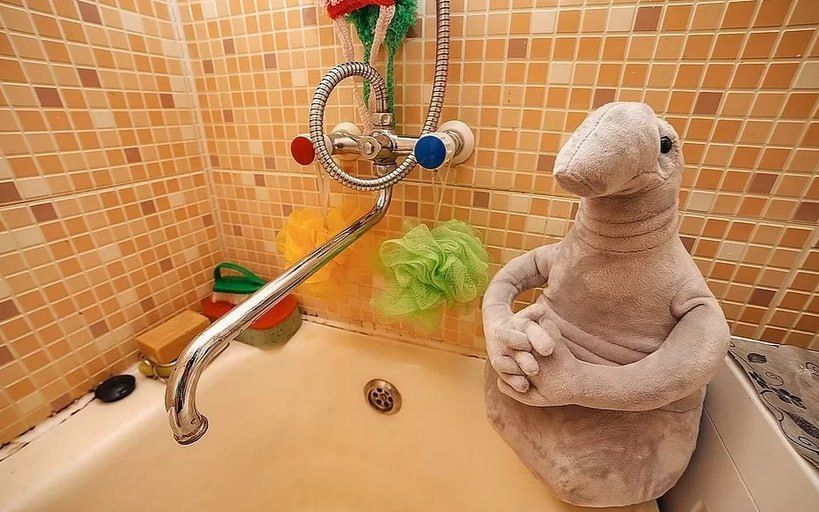 ������� ������ ������ ����