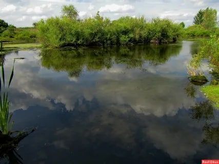 ������������� ��� ������� ������������, ������� �������� �������� ��� ����������� �� ������� ���� ��������