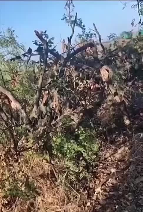 ���� ������ �����������!