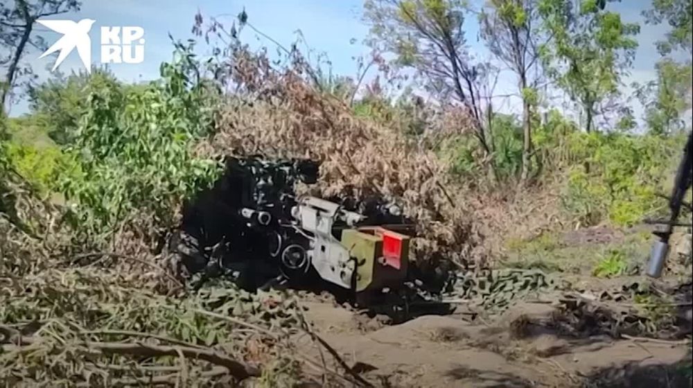 ����� 230 ������� �������� ��� �� ��������� ����������� � 5 �� 12 ��������