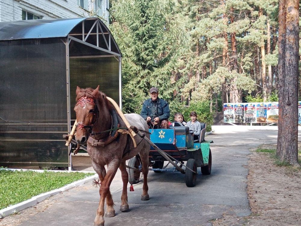 ������ �� �������� ����������� � ��������������-��������������� �������� ���������