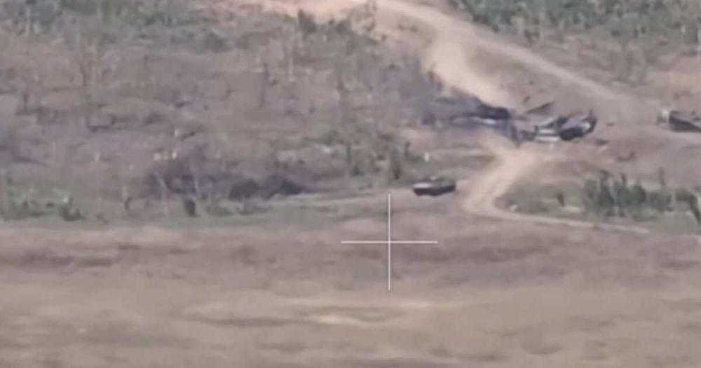 �� ������ ���������� 205 ������� ��� �� ����������� �����������