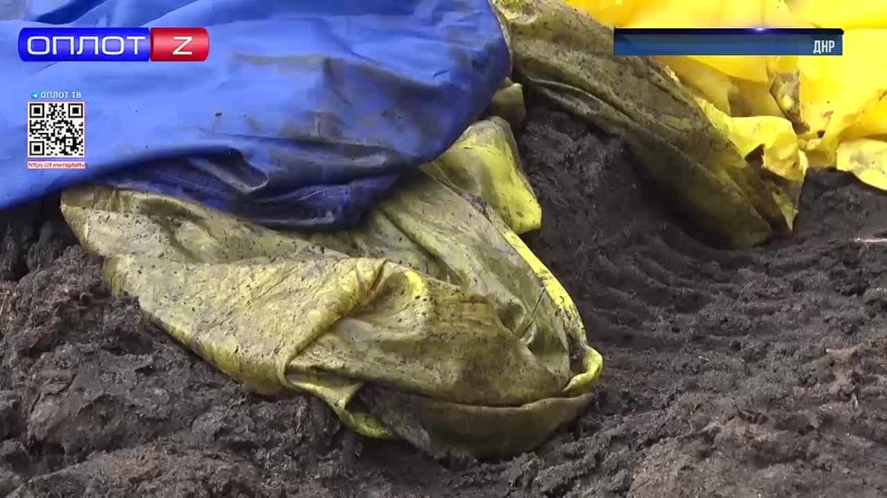 �� �����!. �������� ���������: �������� ���������� ���� ���� � ��������� ����� �������� ������� ��������� ���� ����, ���� �� �������� � ���. �� �� ���� ����� � �������