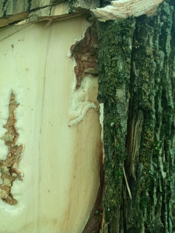 �������������� ���������� ��������� �������� ���������� �������� ��������������� � �������������� ��������� ������������ ����������