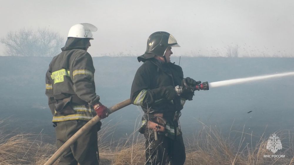 ������ � ������������ �������� �� ���������� ���������� ������������