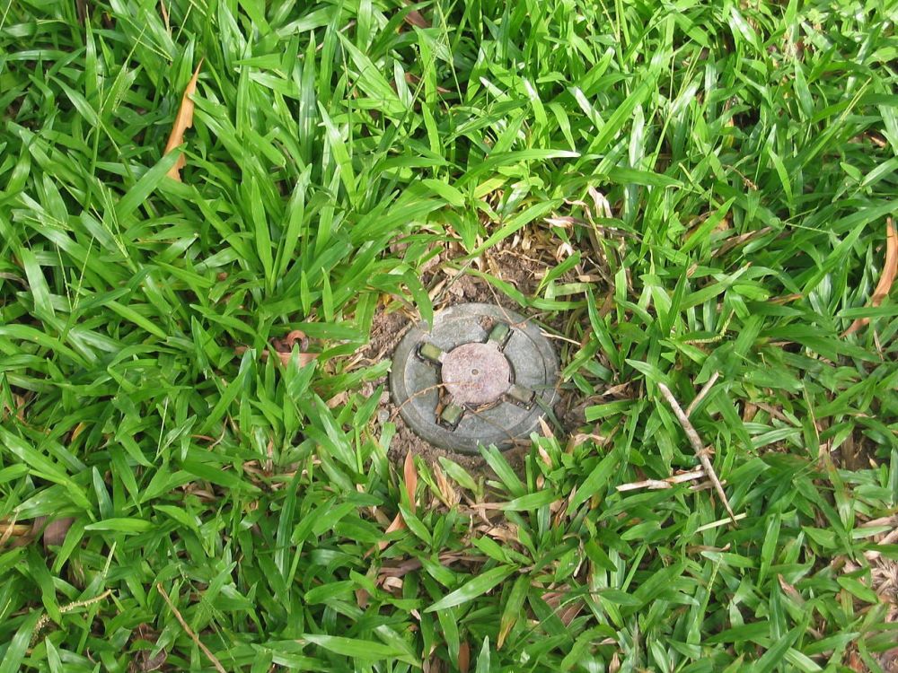 ����������, ����� ����� �����: � ��� ��� ������ ���������������� �������� ��������� ���������