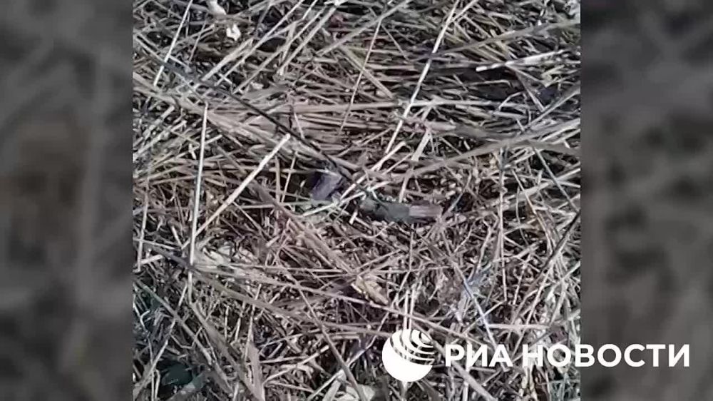 ��� ��� ���������� ���������� ������� � �������� �������� �������